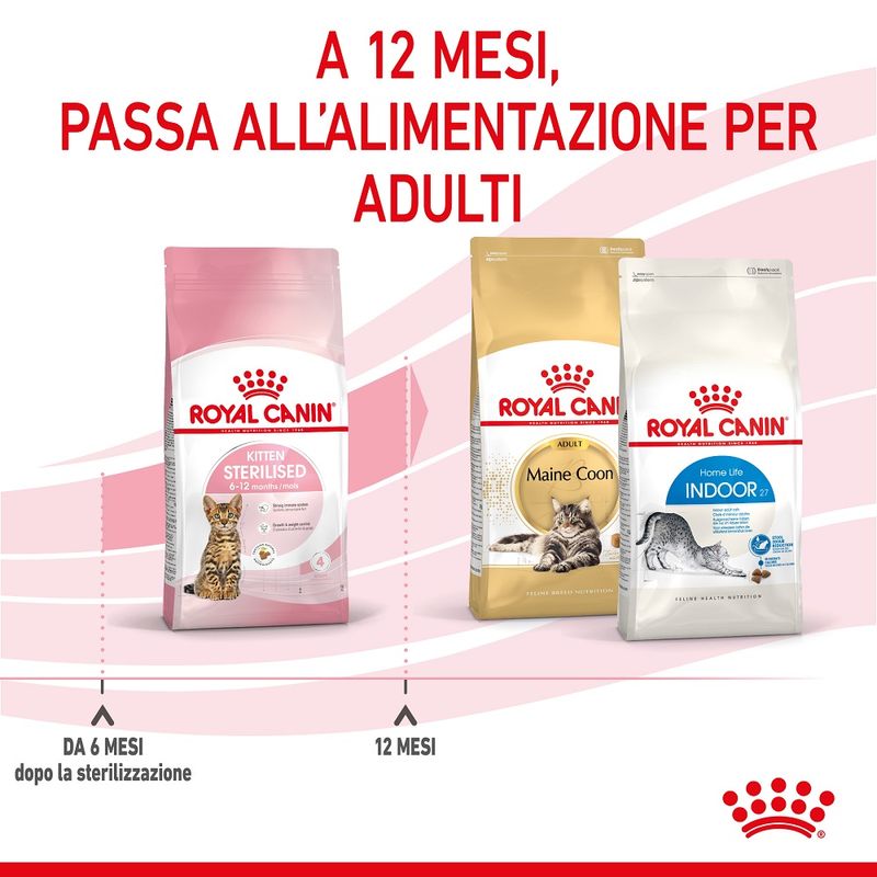 Royal Canin Kitten Sterilised 400g - Crocchette per Gatti