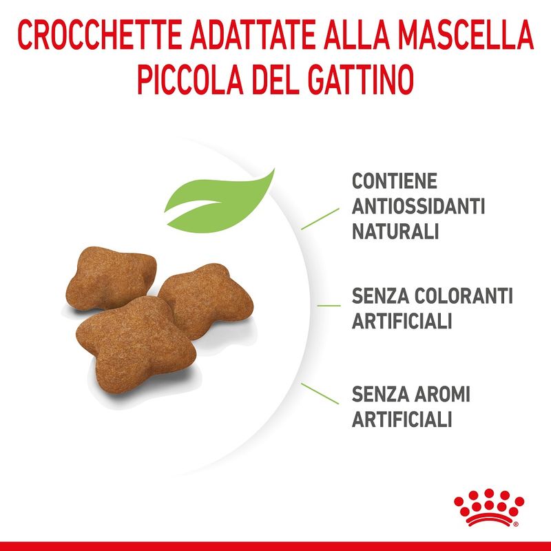 Royal Canin Kitten Sterilised 400g - Crocchette per Gatti