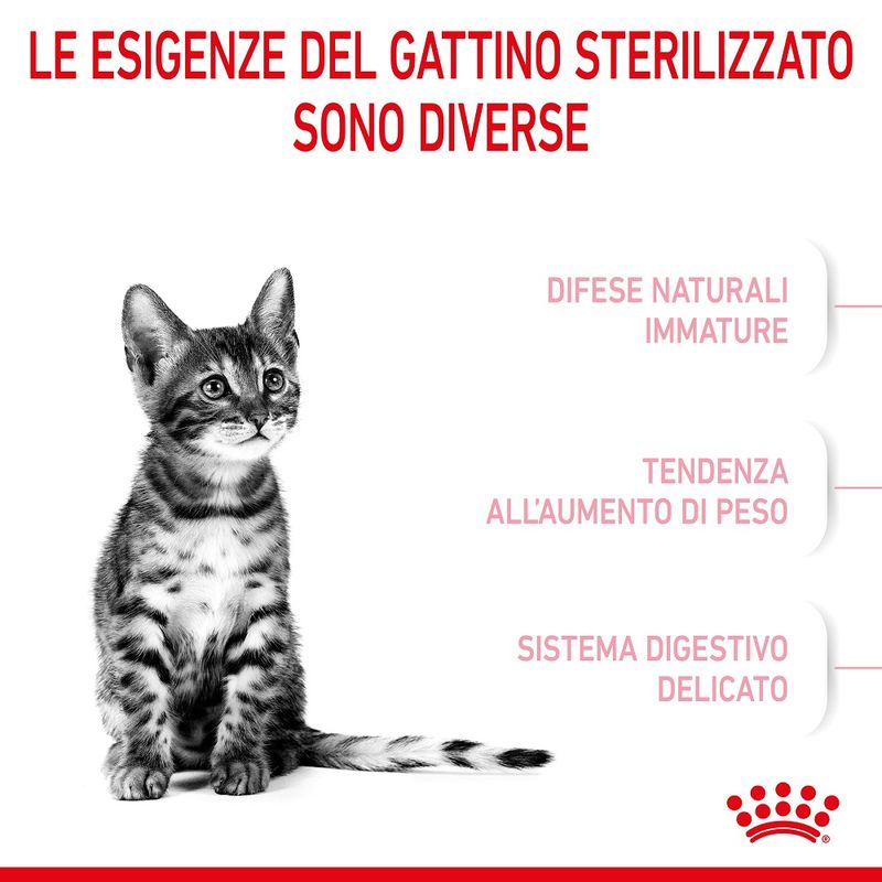 Royal Canin Kitten Sterilised 400g - Crocchette per Gatti