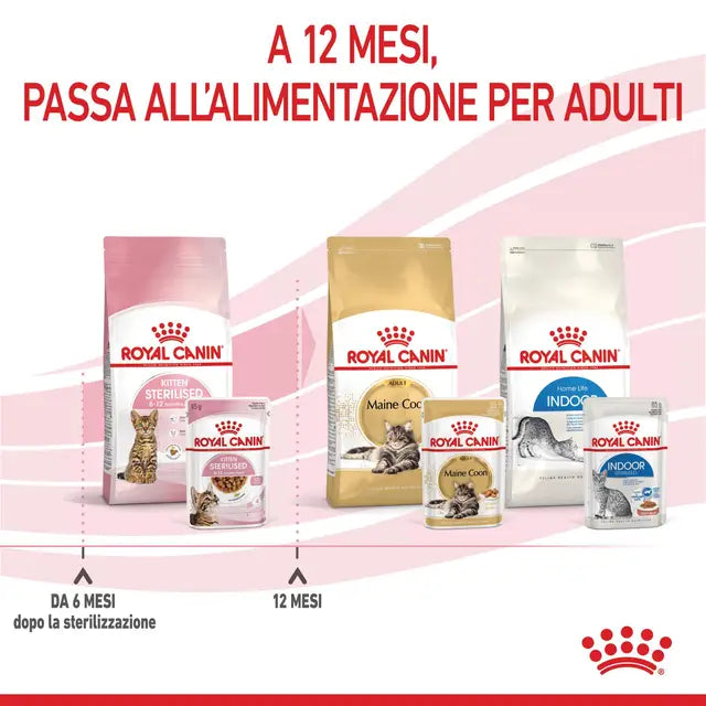Passaggio a Royal Canin Adult dopo Kitten Sterilised a 12 mesi di età del gatto