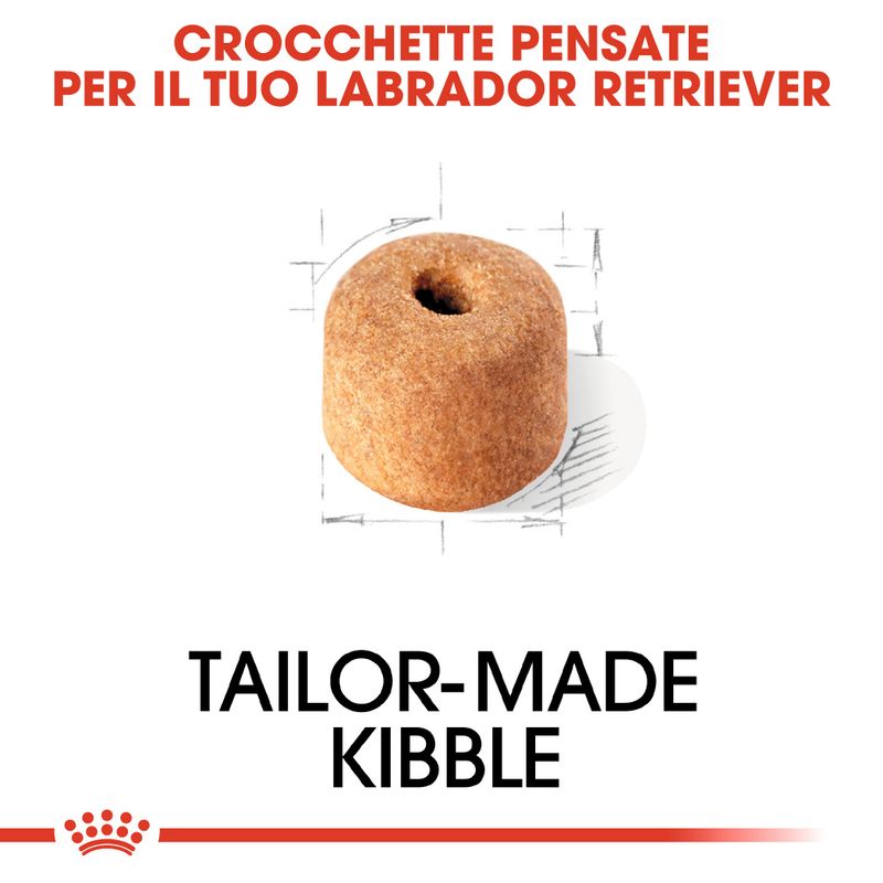 Royal Canin Labrador Retriever Adult 3kg - Crocchette per Cani