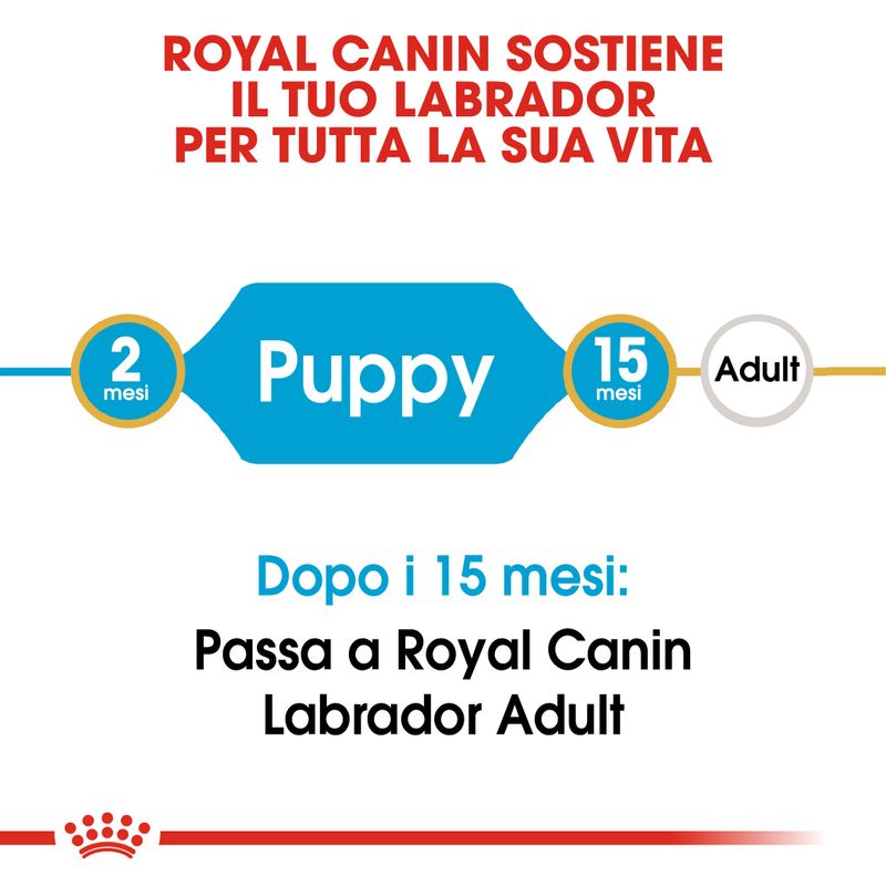 Royal Canin Labrador Puppy 12kg