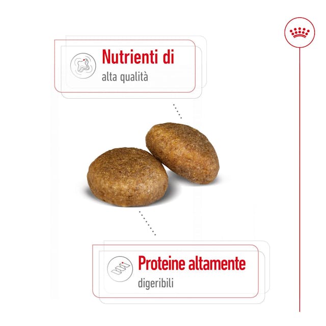 Royal Canin Maxi Adult – Crocchette per Cani Adulti Taglia Grande 4 kg