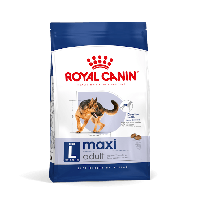 Royal Canin Maxi Adult – Crocchette per Cani Adulti Taglia Grande 4 kg