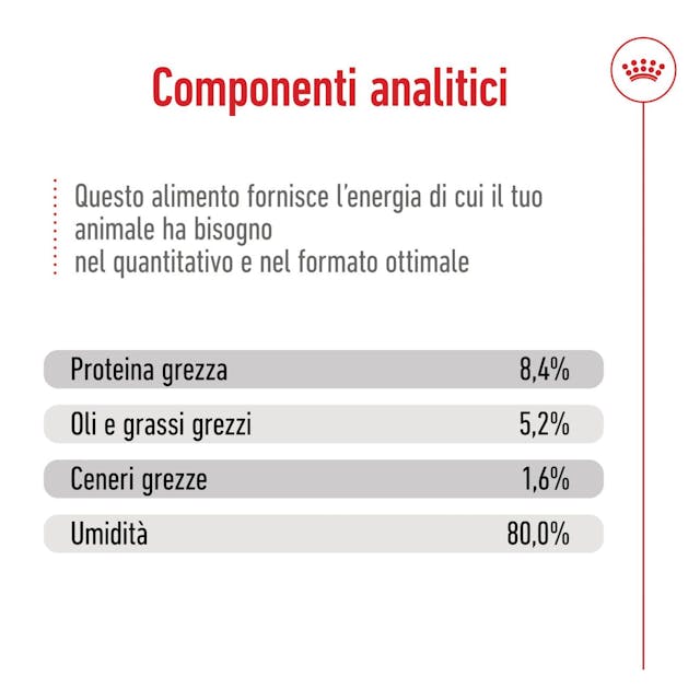 Royal Canin Maxi Ageing 410g - Cibo Umido per Cani