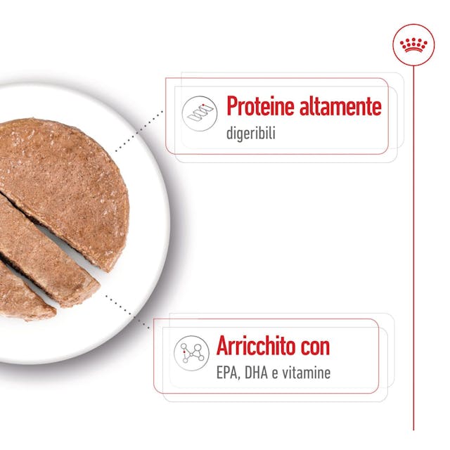 Royal Canin Maxi Ageing 410g - Cibo Umido per Cani
