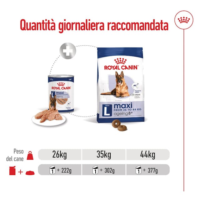Royal Canin Maxi Ageing 410g - Cibo Umido per Cani