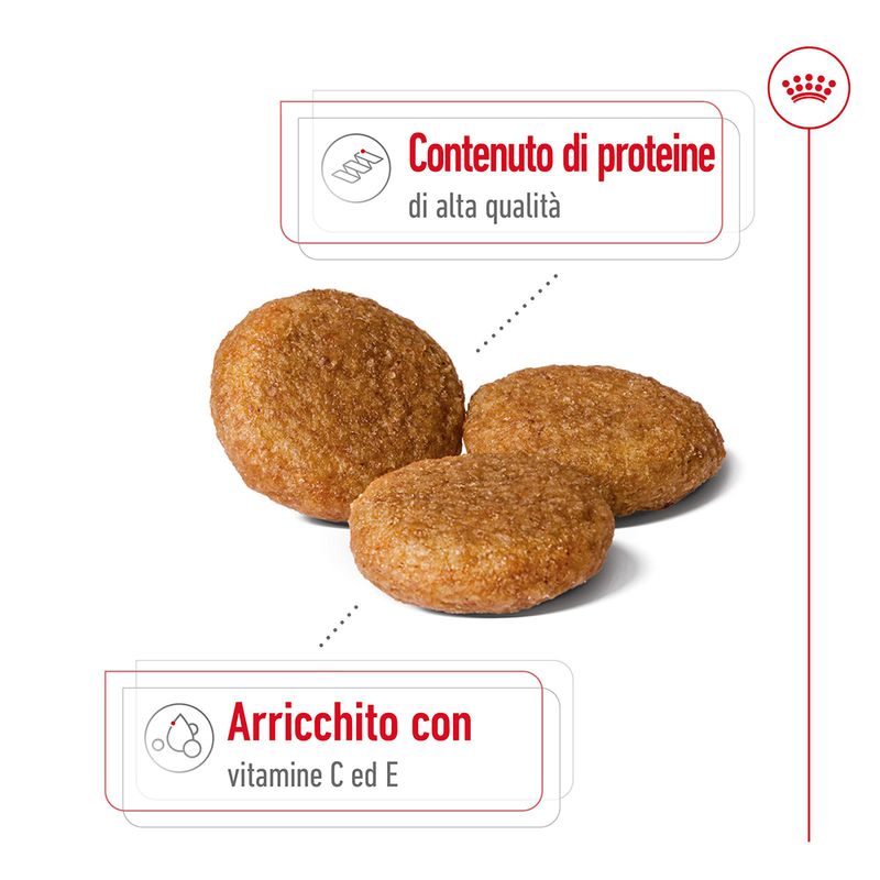 2x15kg Royal Canin Medium Adult - Crocchette per Cani