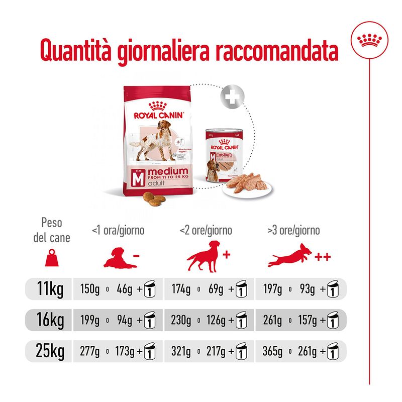 Royal Canin Medium Adult 15 kg - Crocchette per Cani