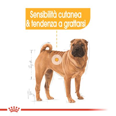 Royal Canin Medium Dermacomfort 3kg - Crocchette per Cani
