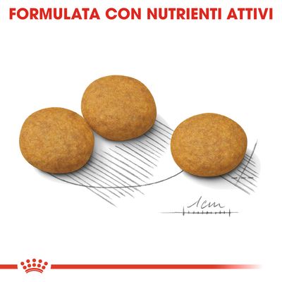 Royal Canin Medium Dermacomfort 3kg - Crocchette per Cani