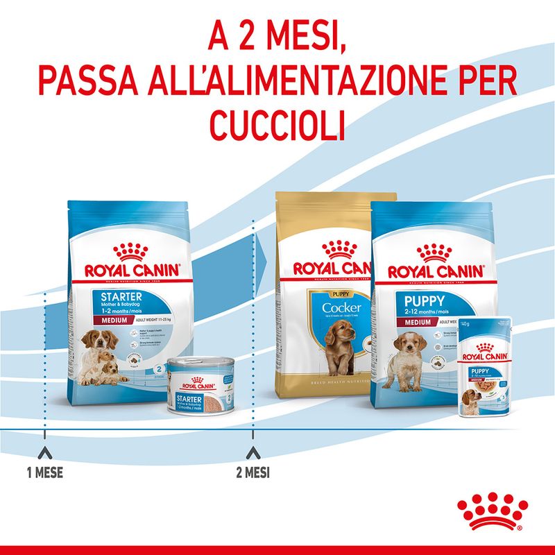 Royal Canin Medium Starter Mother&Babydog 4kg - Crocchette Cane