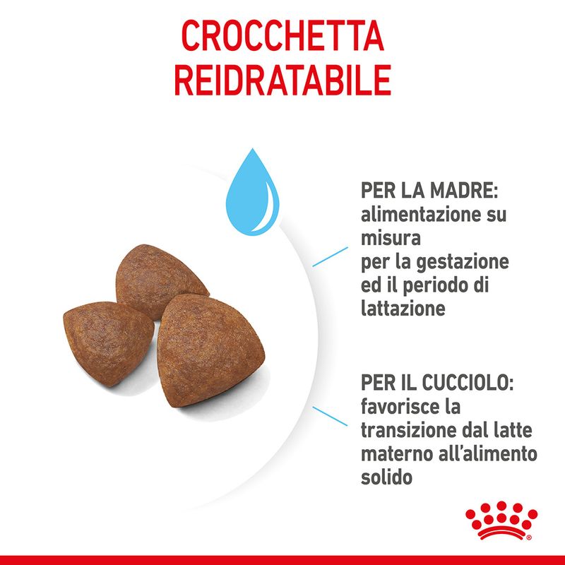 Royal Canin Medium Starter Mother&Babydog 4kg - Crocchette Cane