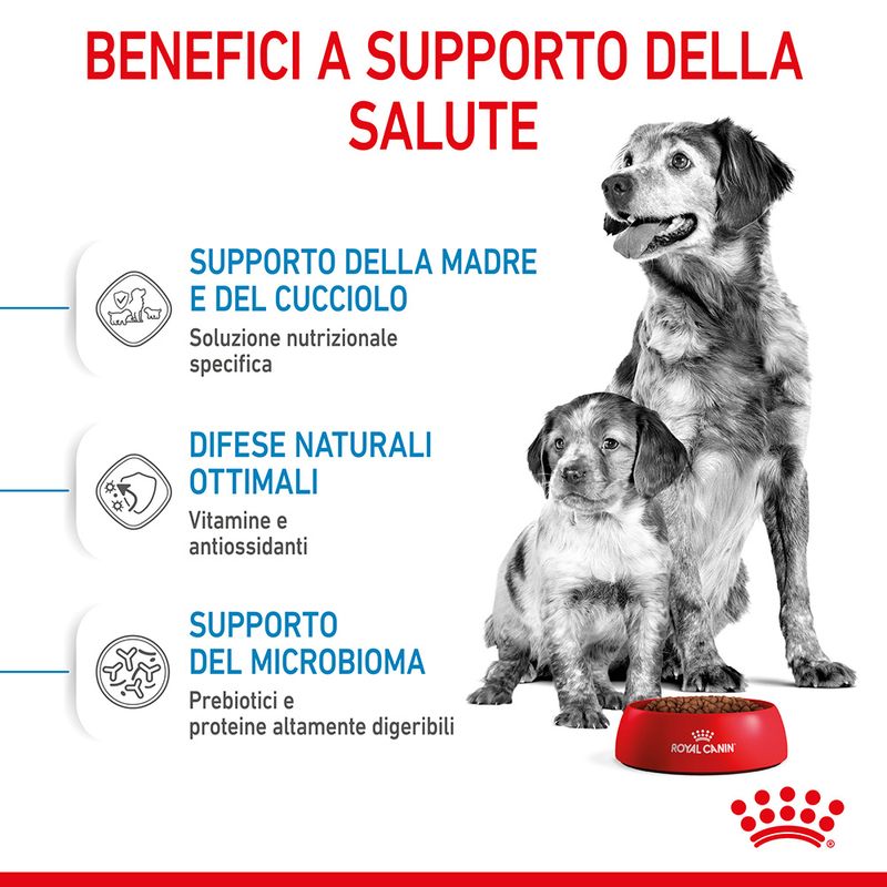 Royal Canin Medium Starter Mother&Babydog 4kg - Crocchette Cane