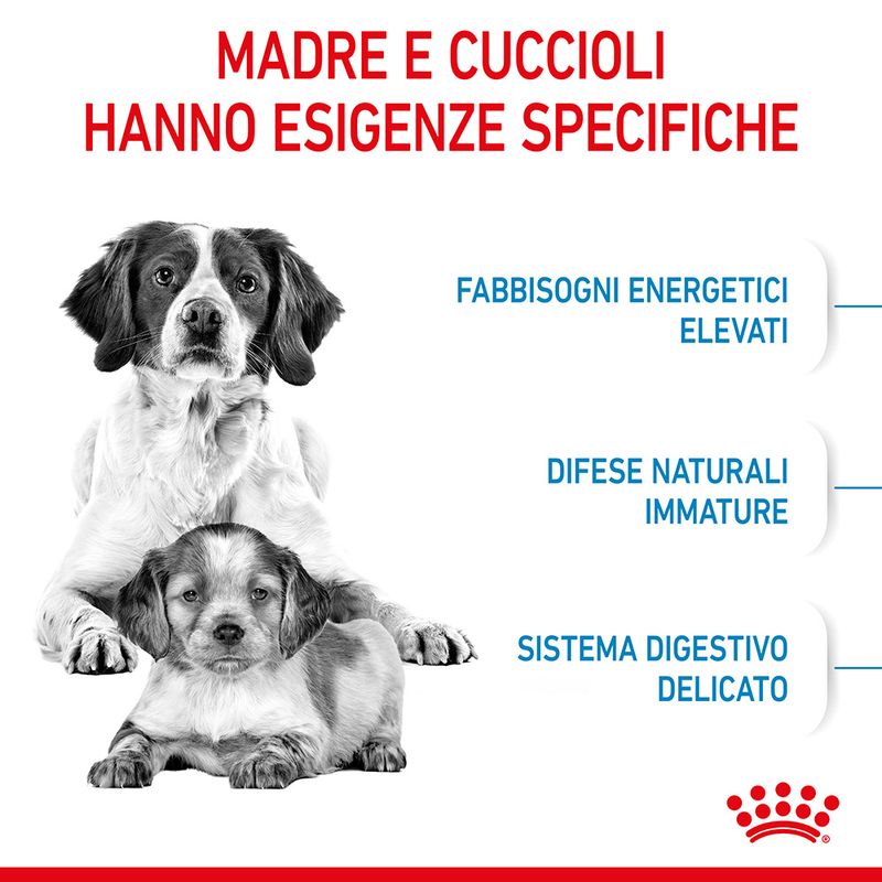 Royal Canin Medium Starter Mother&Babydog 4kg - Crocchette Cane