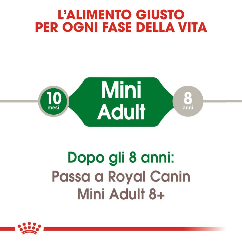 Royal Canin Mini Adult 2kg - Crocchette per Cani