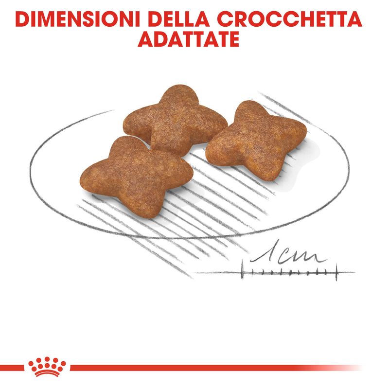 Royal Canin Mini Adult 2kg - Crocchette per Cani