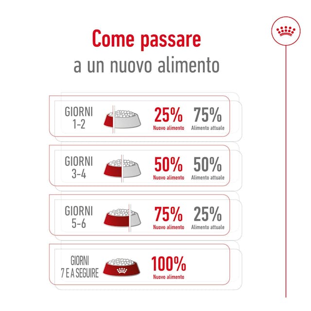 Royal Canin Mini Adult 4 kg