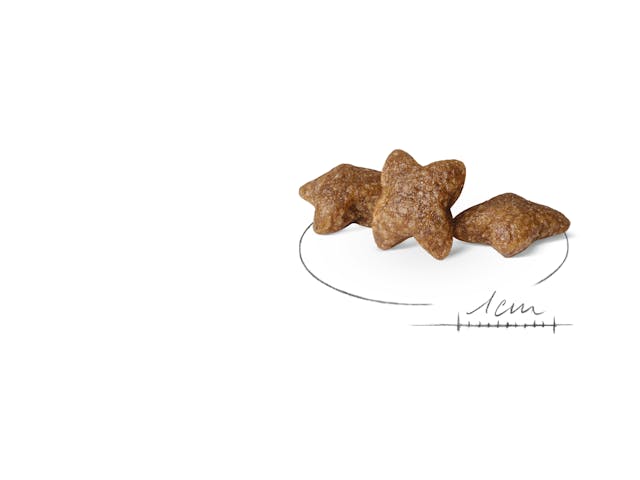 Royal Canin Mini Adult 4 kg