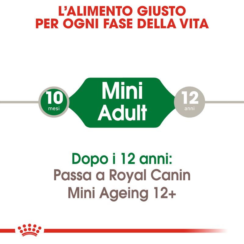 Royal Canin Mini Adult Umido in Salsa per Cani 12x85g