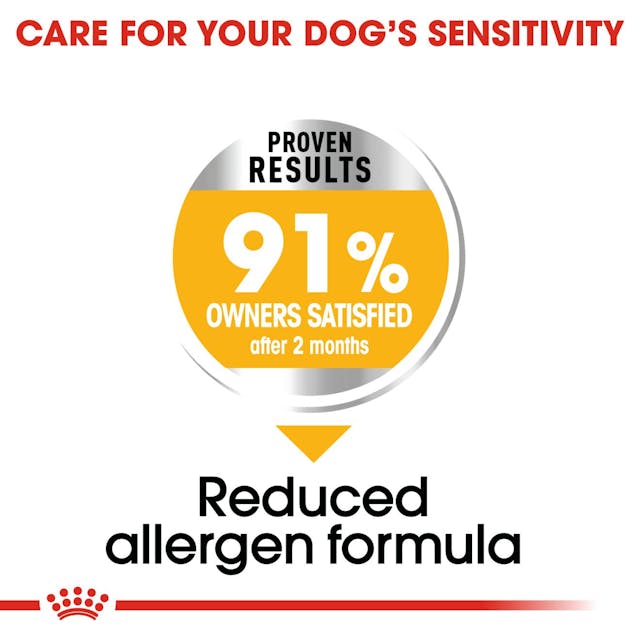 Royal Canin Mini Dermacomfort 8kg - Per Cani con Pelle Sensibile