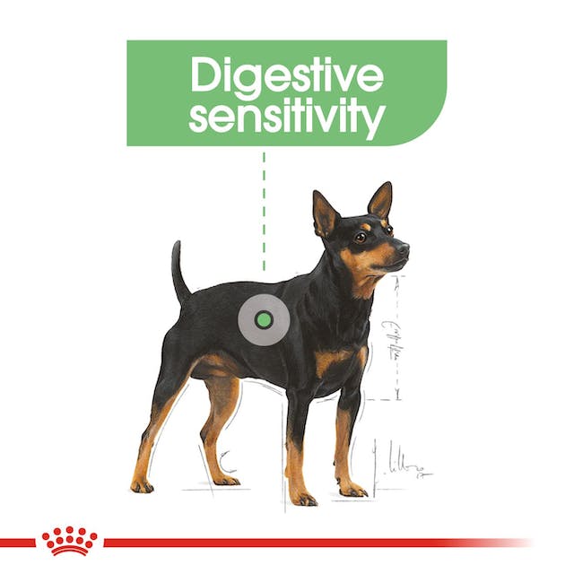 Royal Canin Mini Digestive Care - 1kg