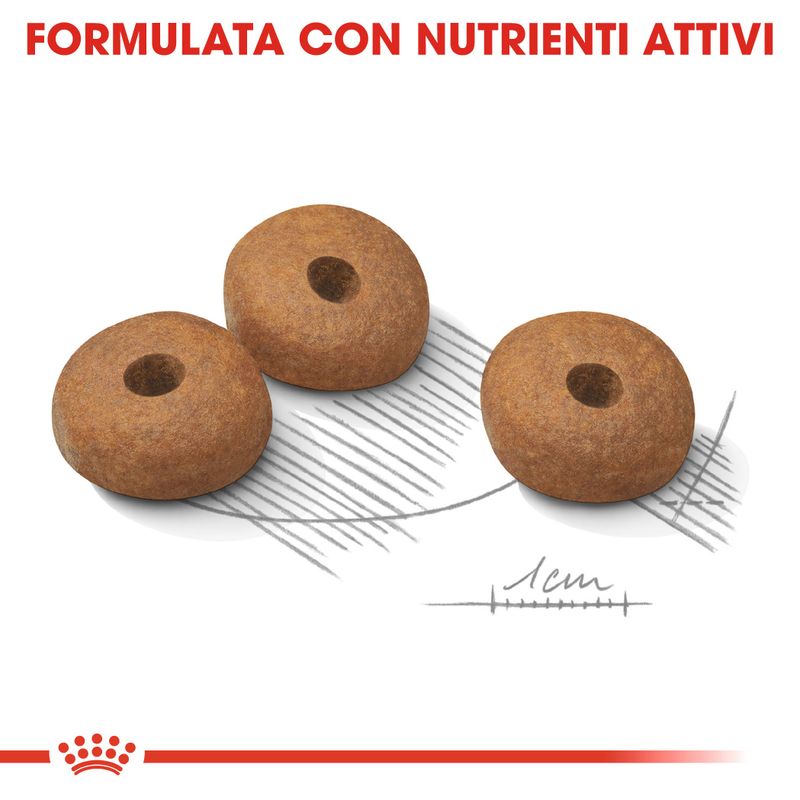 Royal Canin Light Weight Care Mini 3kg - Crocchette per Cani