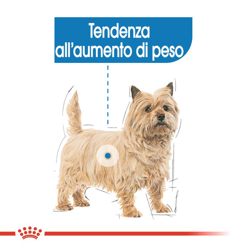 Royal Canin Light Weight Care Mini 3kg - Crocchette per Cani
