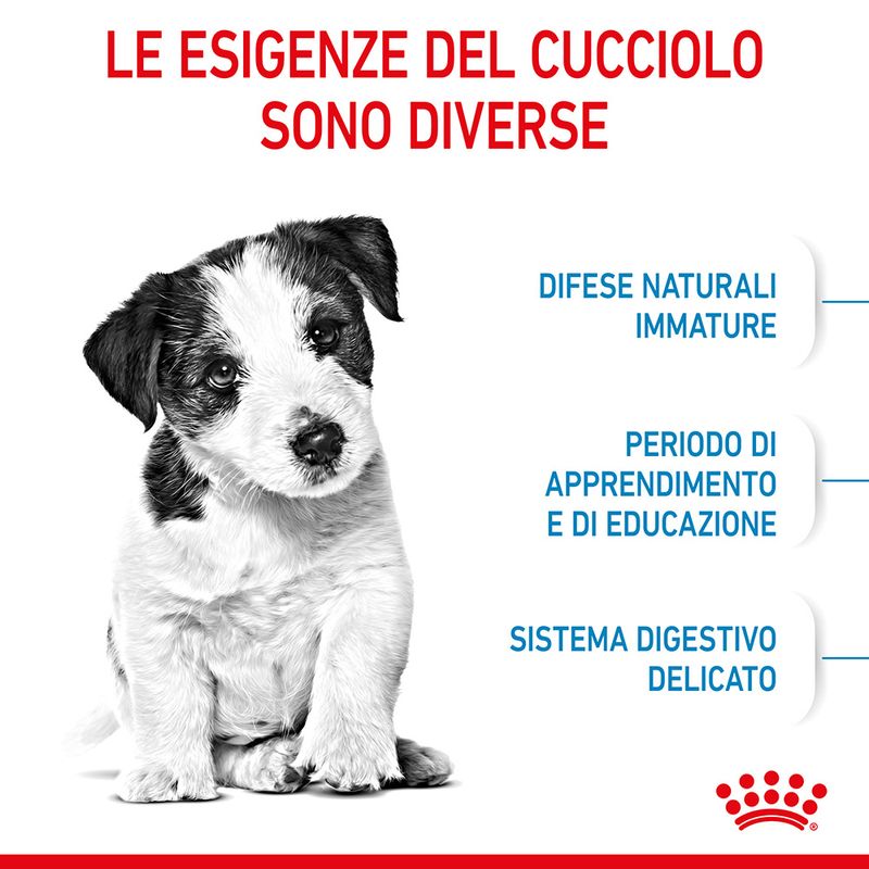 Royal Canin Mini Puppy - 8kg