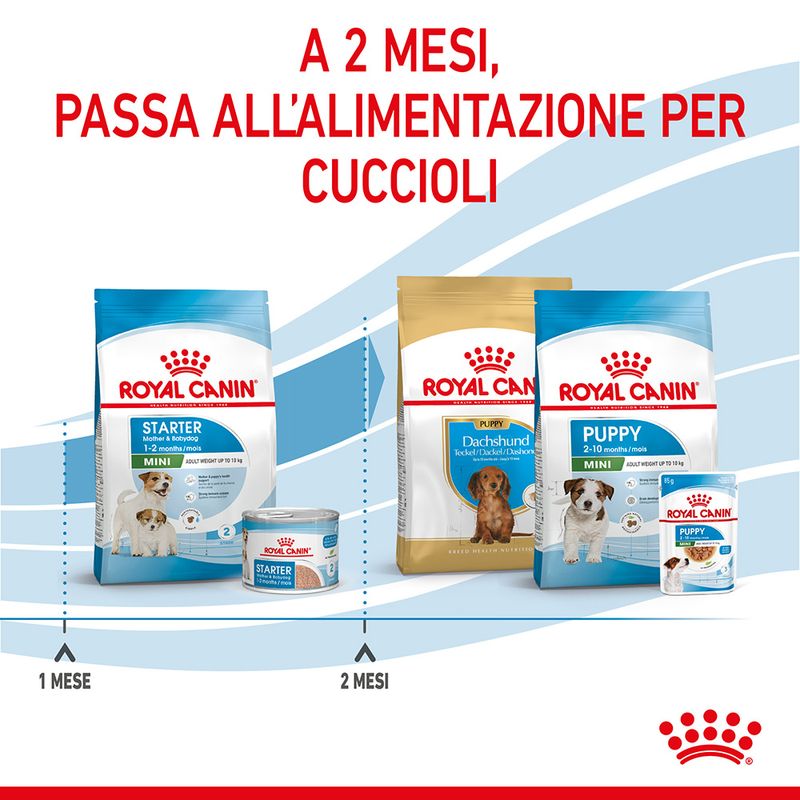 Royal Canin Starter Mother&Babydog Mini 1kg - Crocchette per Cani Cuccioli