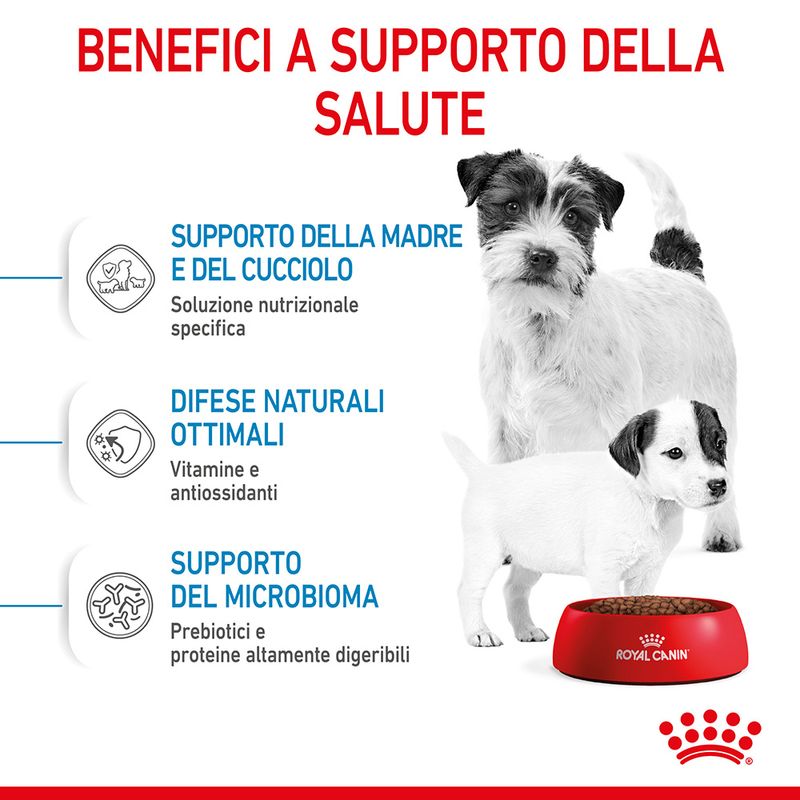 Royal Canin Starter Mother&Babydog Mini 1kg - Crocchette per Cani Cuccioli