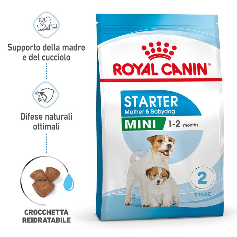 Royal Canin Mini Starter Mother&Babydog 1kg Crocchette Cane