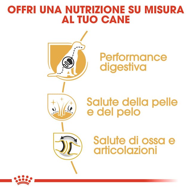 Royal Canin German Shepherd (Pastore Tedesco) Adult 11 kg