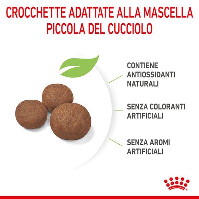 Royal Canin Puppy Medium 4kg - Crocchette per Cani