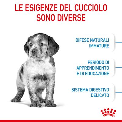 Royal Canin Puppy Medium 4kg - Crocchette per Cani