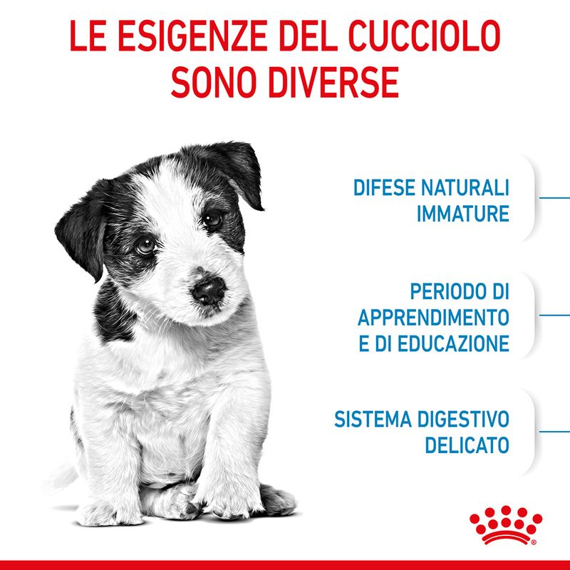 Royal Canin Puppy Mini 4kg - Crocchette per Cani