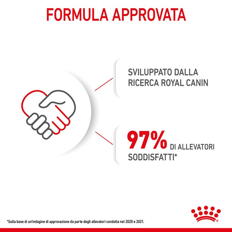 Royal Canin Puppy Mini 4kg - Crocchette per Cani