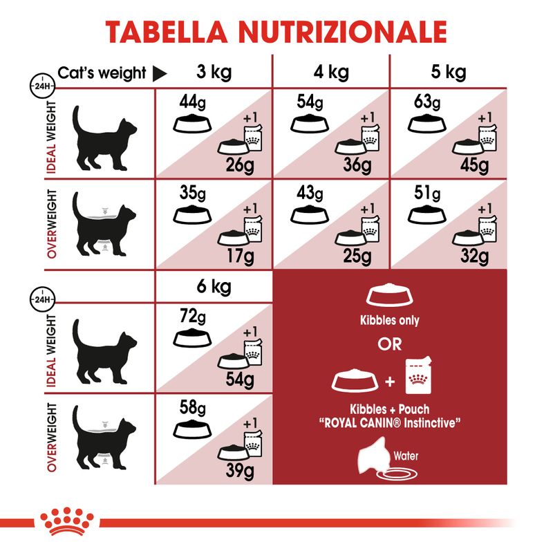 Royal Canin Regular Fit32 2kg - Crocchette per Gatti