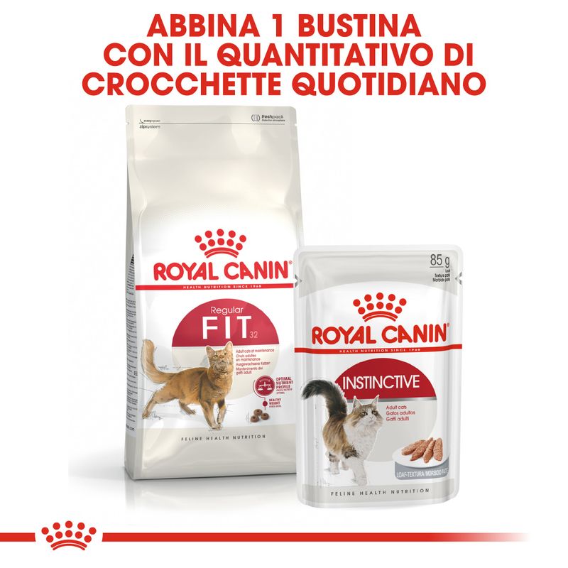 Royal Canin Regular Fit 32 - 2kg Crocchette gatto