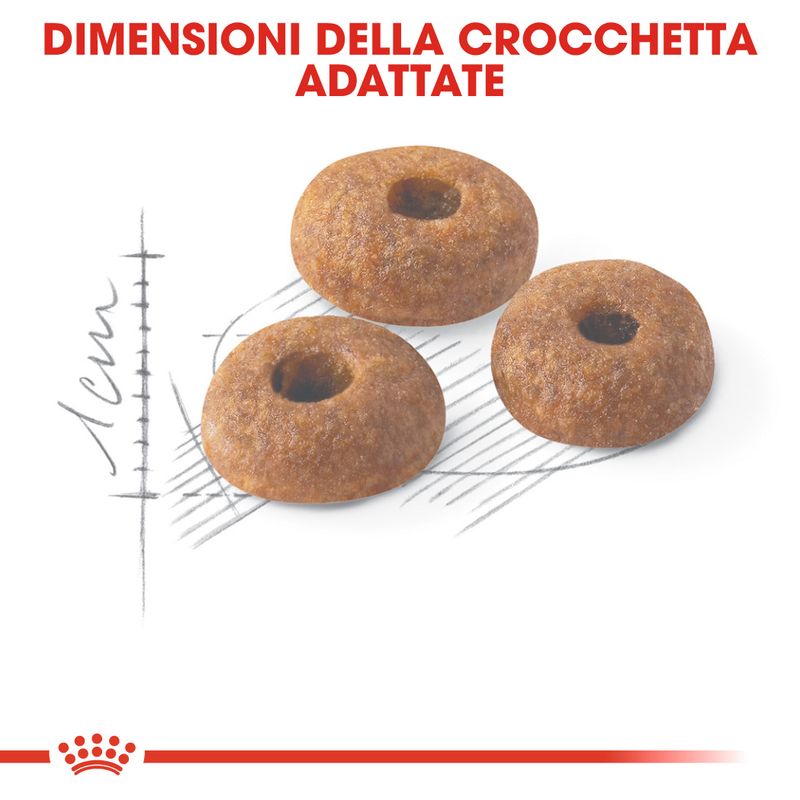 Royal Canin Regular Fit32 2kg - Crocchette per Gatti