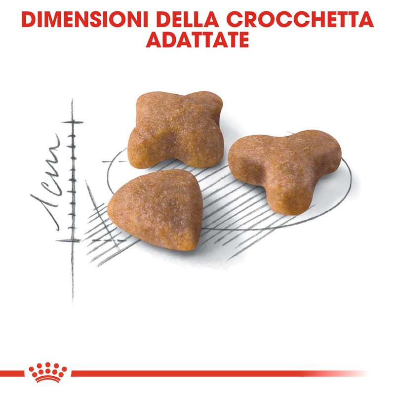 Royal Canin Regular Sensible33 2kg - Crocchette per Gatti