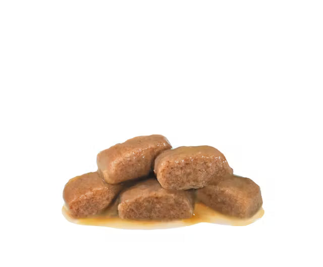 Fettine in salsa Royal Canin Renal Pesce per dieta specifica del gatto