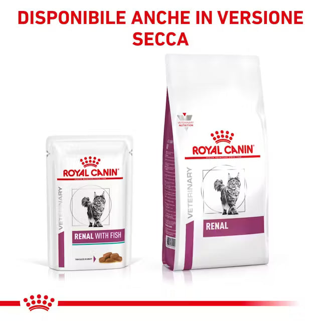 Alimento umido e secco dietetico Royal Canin Renal per gatti adulti