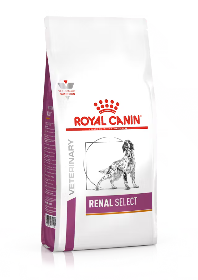 Royal Canin Renal Select 2kg, alimento secco cane con insufficienza renale e supporto veterinario