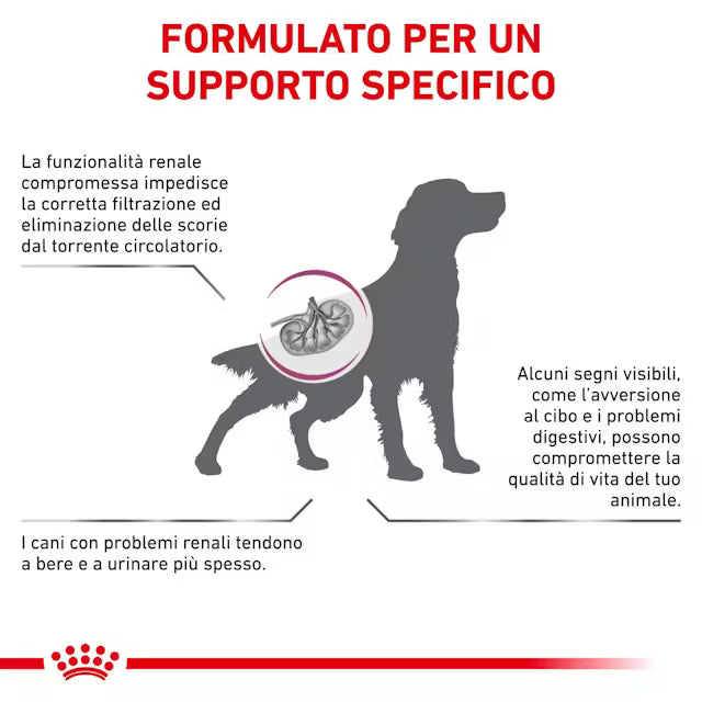 Royal Canin Renal Select secco cane adulto 2kg, alimento dietetico per supporto renale cronico