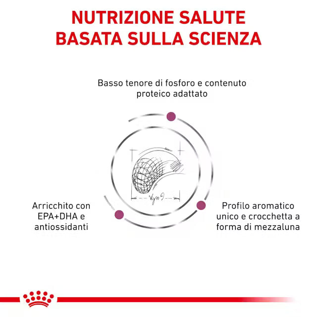 Royal Canin cane adulto Renal Select 2kg, sacco secco dietetico con crocchette ad alta appetibilità