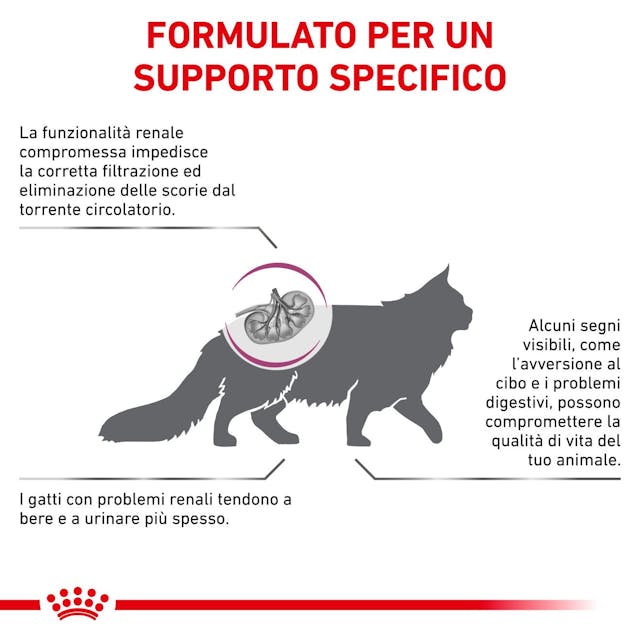 Royal Canin Renal Veterinary 400g Crocchette per Gatti