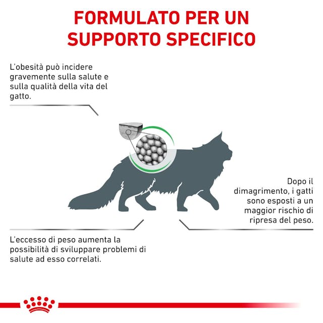 Royal Canin Satiety Weight Managment 6kg Crocchette per Gatti