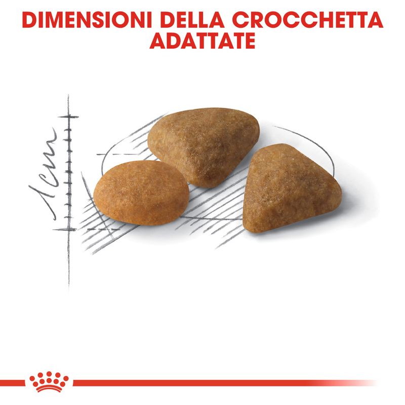 Royal Canin Savour Exigent 4kg - Crocchette per Gatti