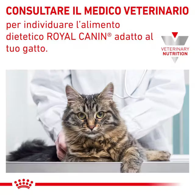 Alimento umido Royal Canin Sensitivity Control 12x85 g per gatti adulti con intolleranze alimentari